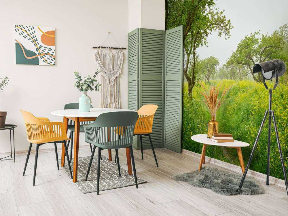 Sentiero attraverso colline con fiori gialli