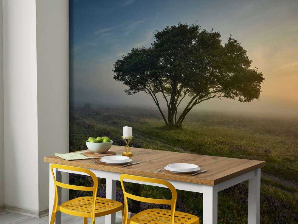 Alba sulla brughiera