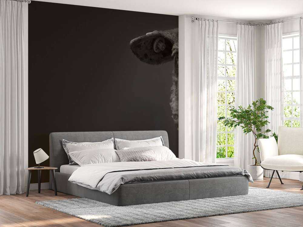 Pecora primo piano in bianco e nero