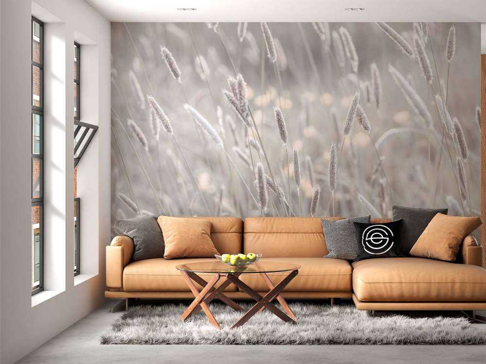 Primo piano di un prato