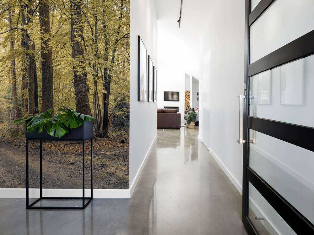 Sentiero nel verde della foresta