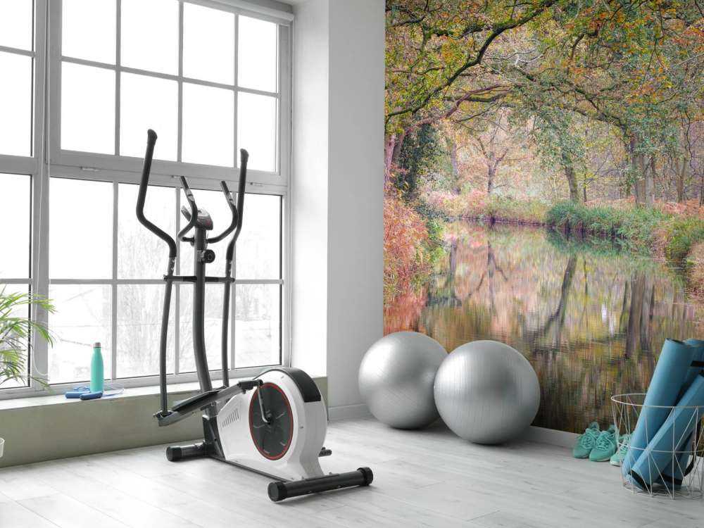 Foresta coperta e colorata