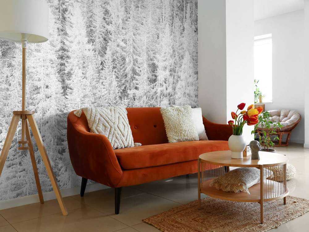 Conifere in bianco e nero