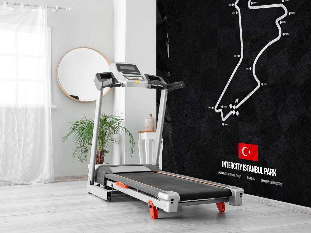 Circuito di Formule 1 - Parco Intercity Istanbul - Turchia