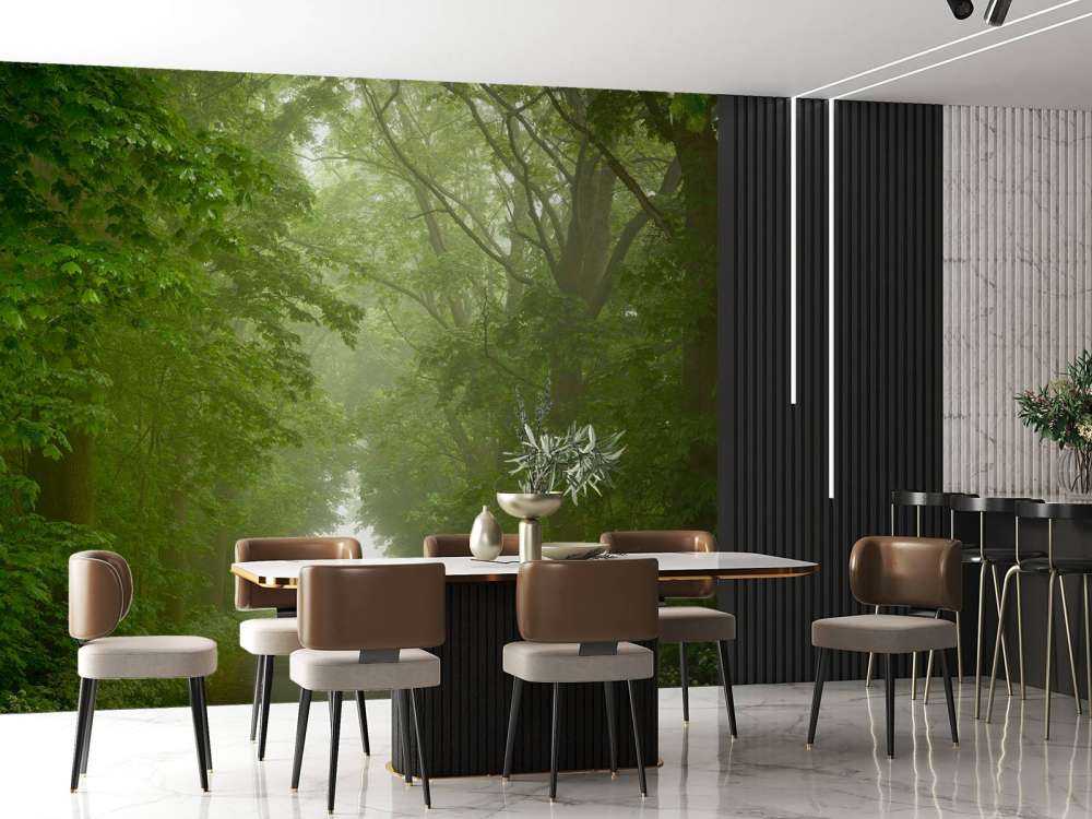 Foresta verde con sentiero nebbioso