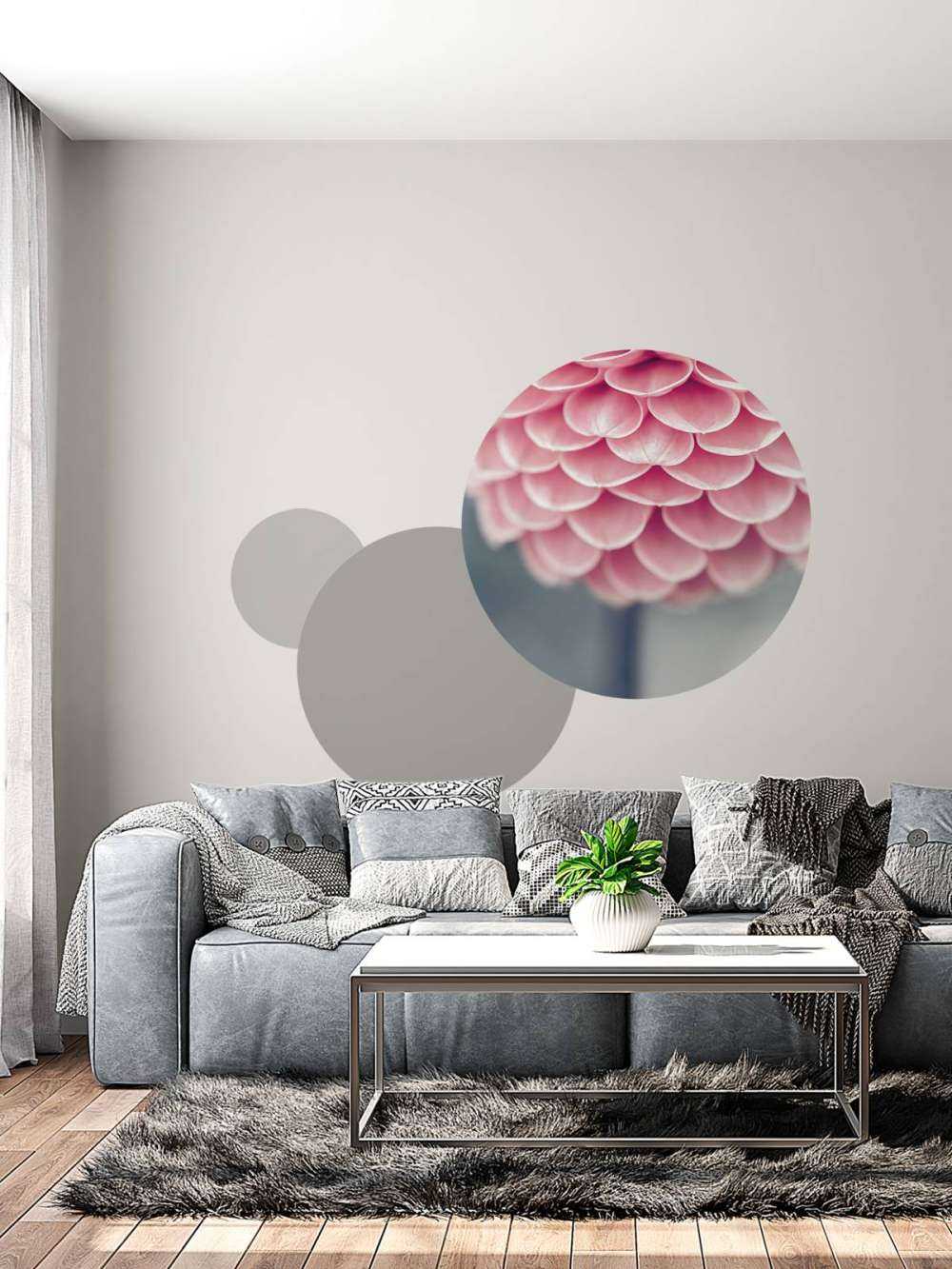 Primo piano di una dalia