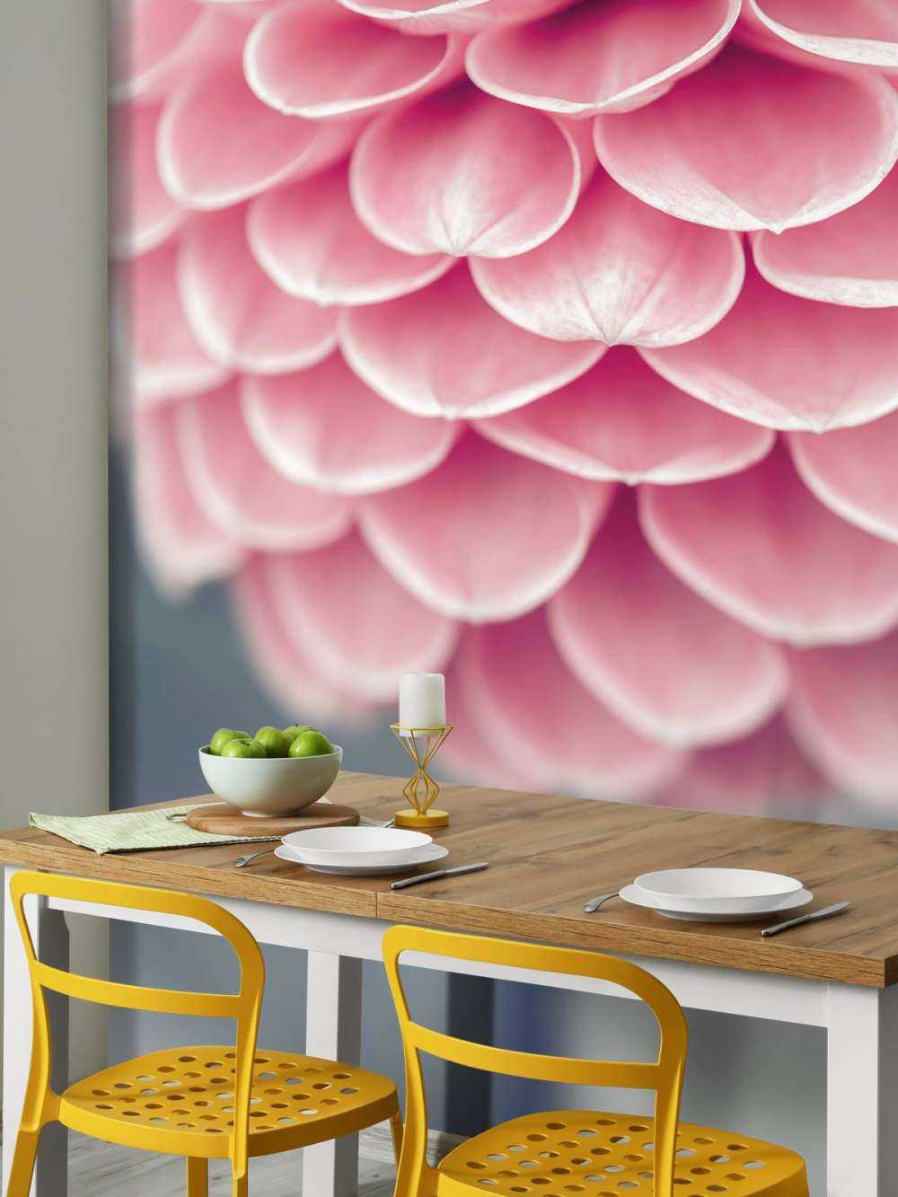 Primo piano di una dalia