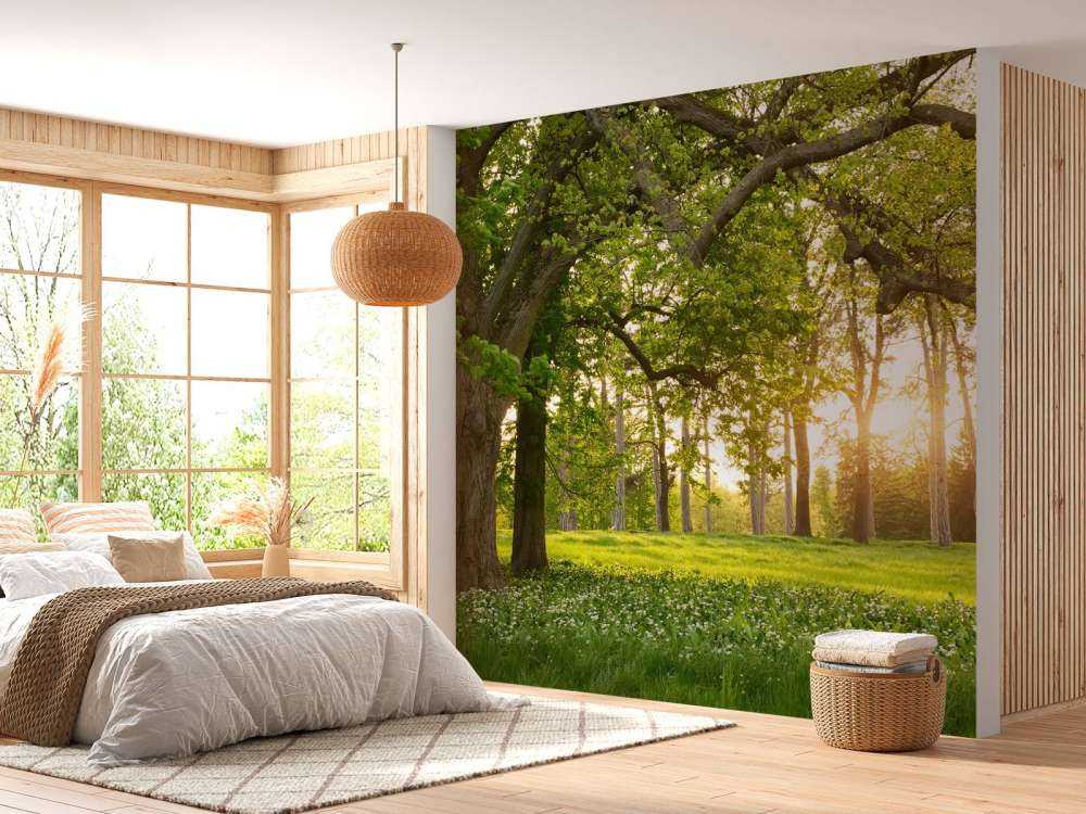 Spazio aperto nella foresta