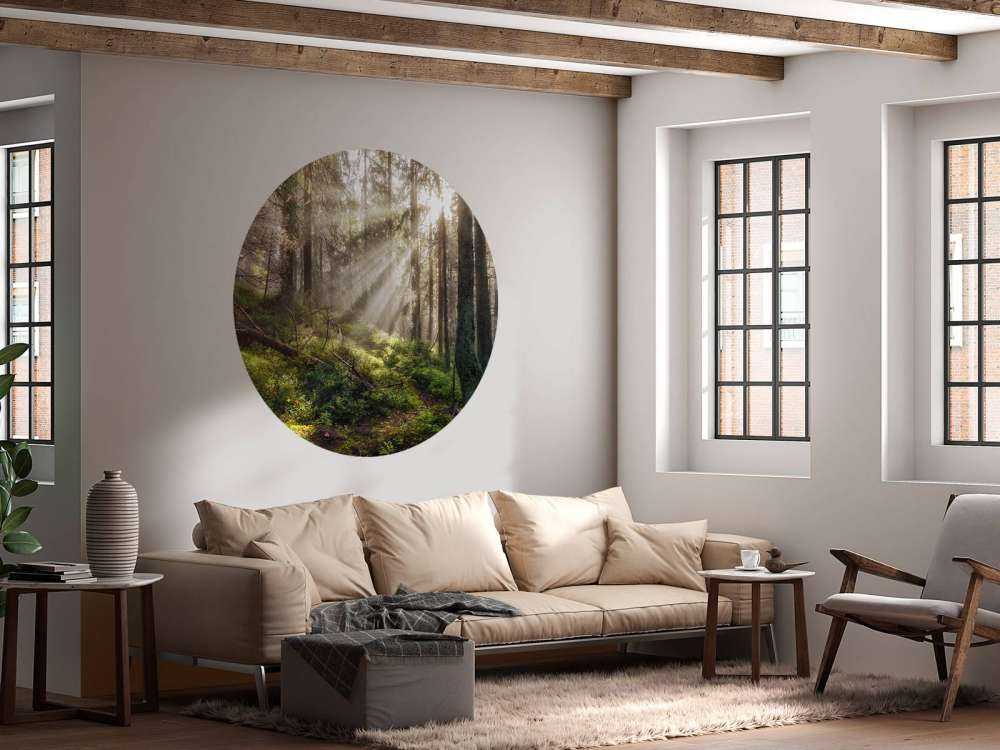 Foresta autunnale con sole