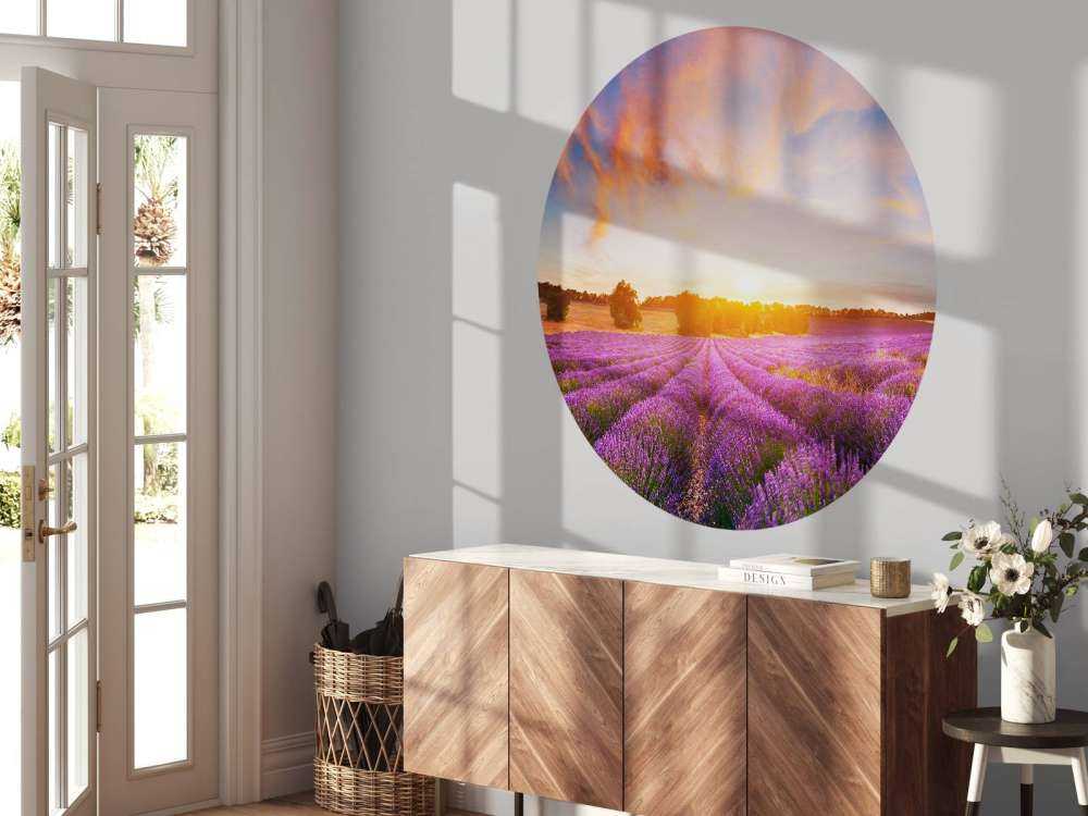 Campo con Lavanda