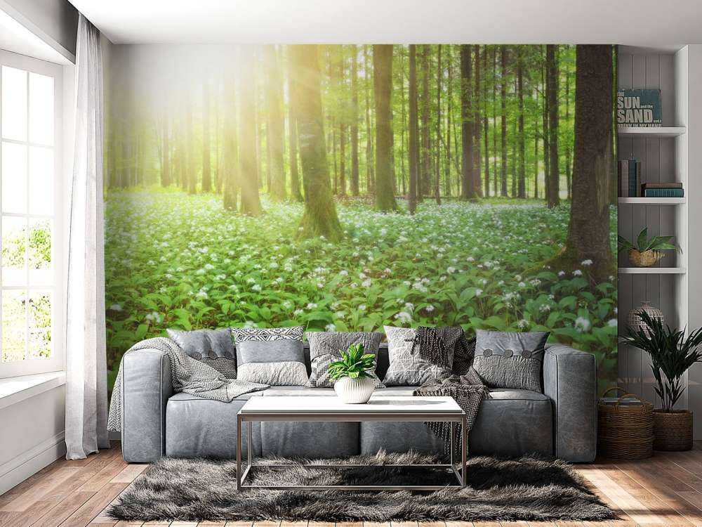 Foresta selvaggia all'alba