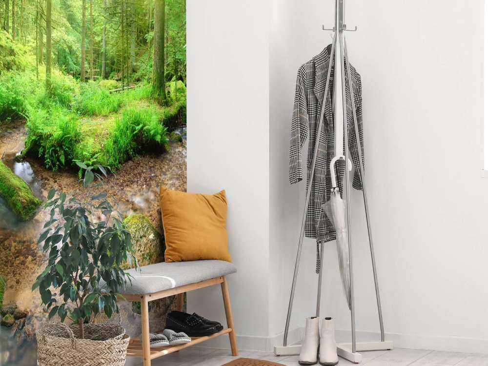 Incantevole paesaggio forestale