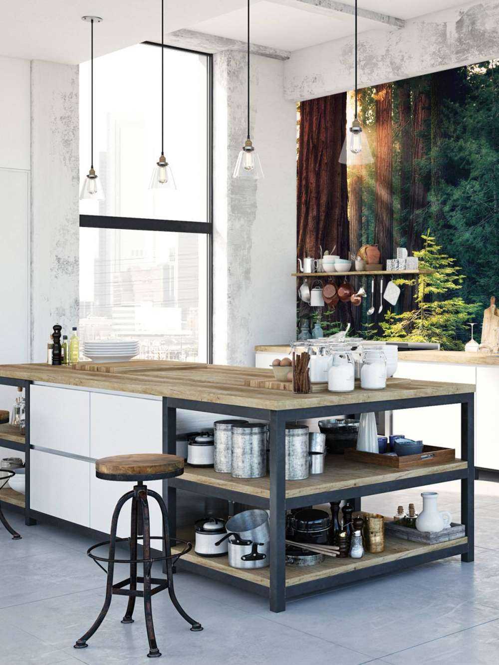 Luce del sole tra gli alberi di mogano