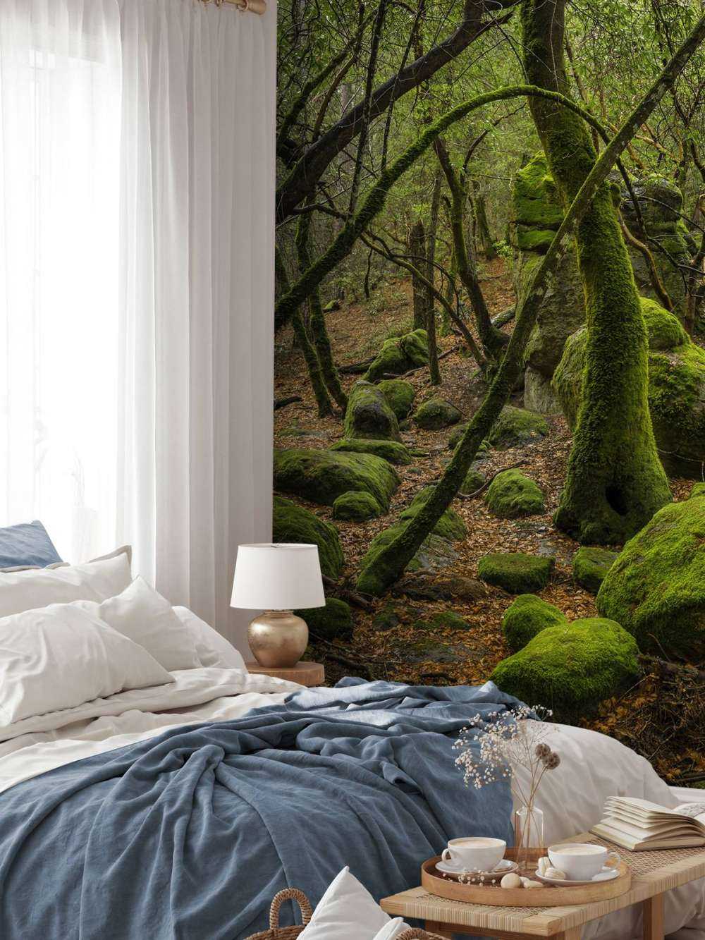 Alberi e pietre di muschio