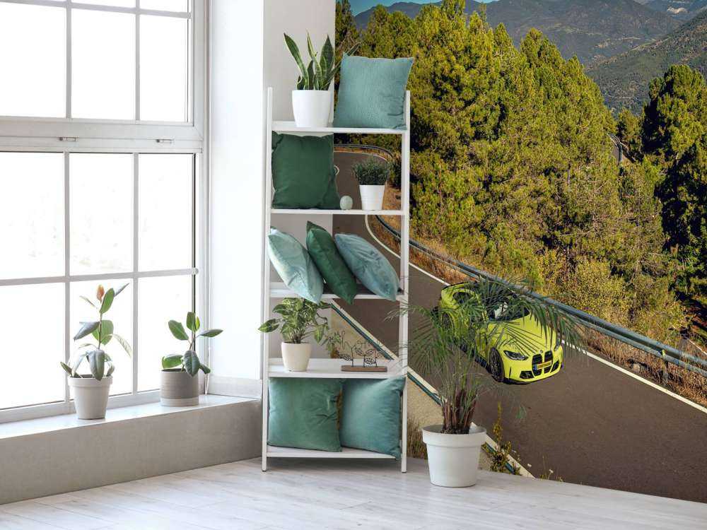 BMW limegreen su strada di montagna