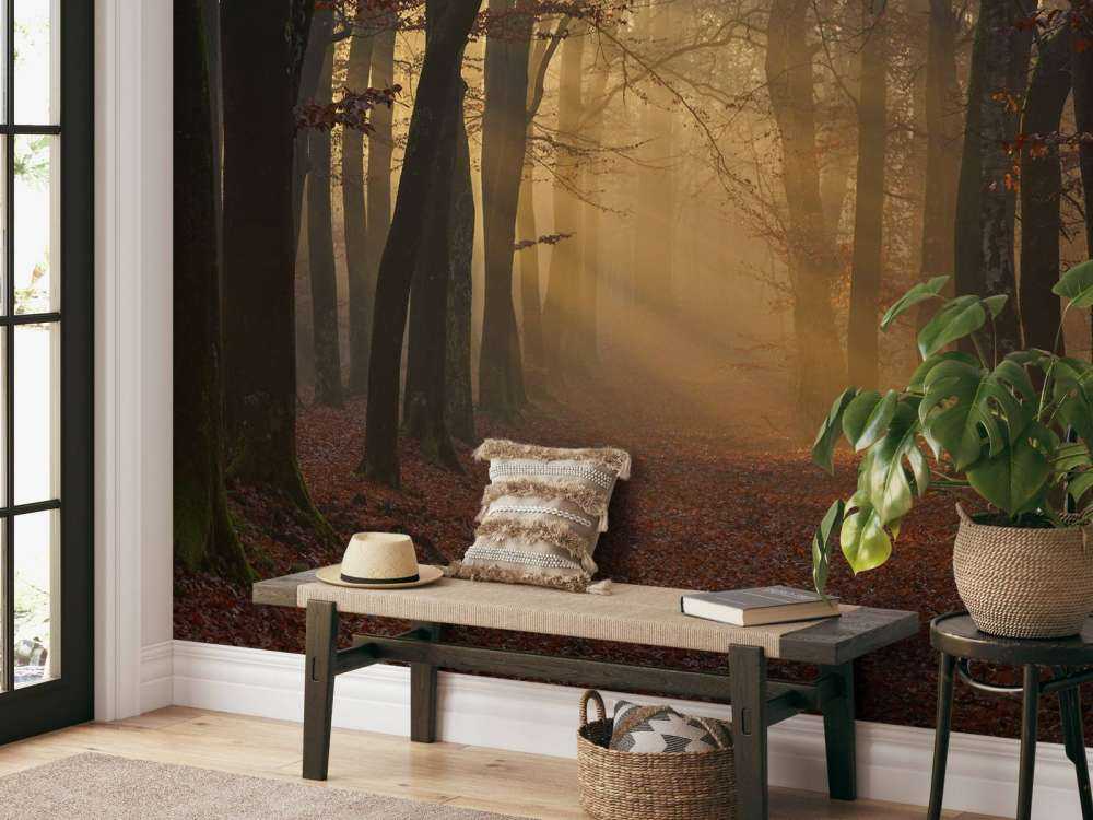 Misteriosa foresta d'autunno