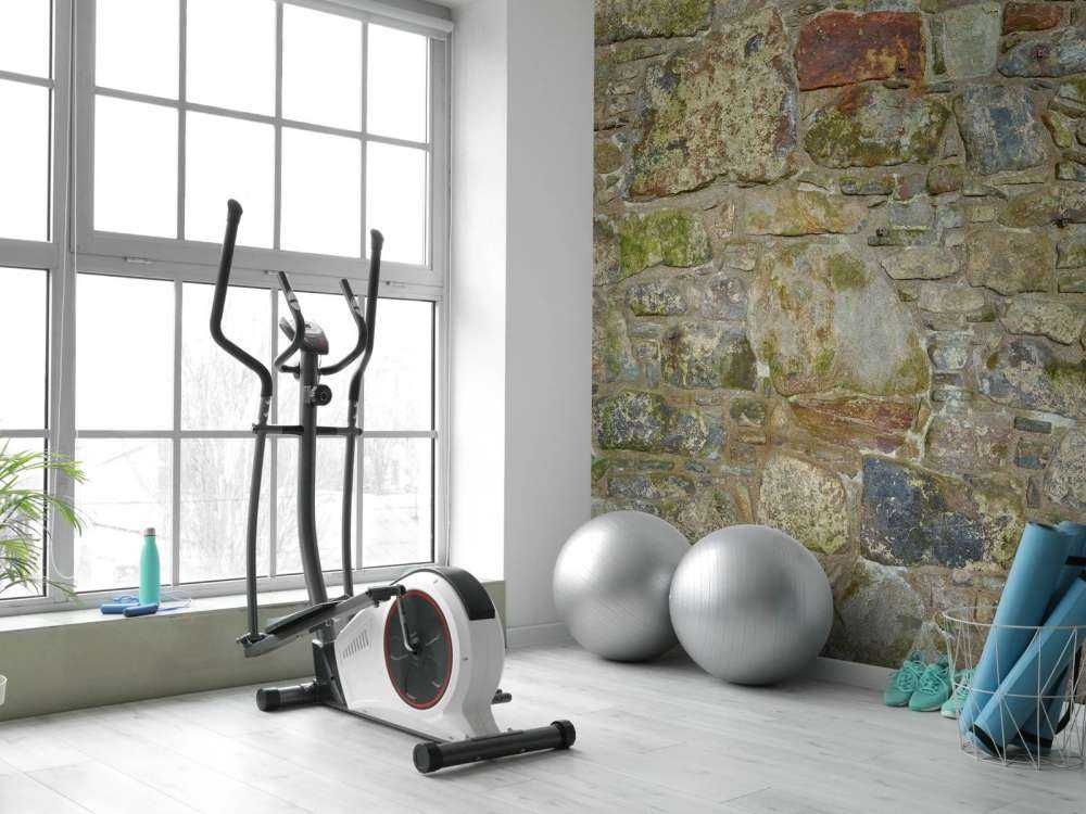 Vecchio muro con muschio