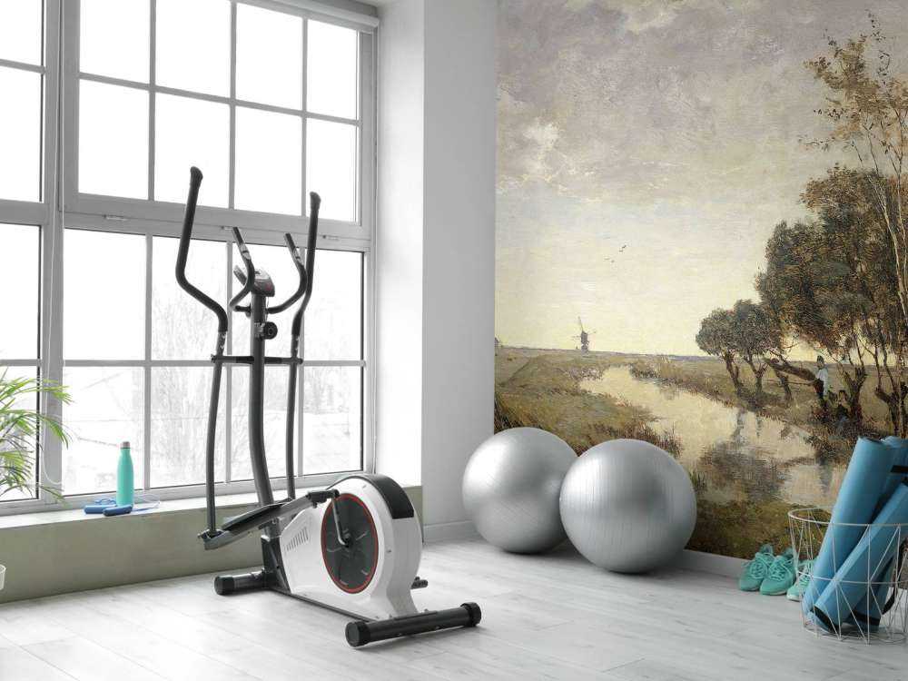 Una bagnatura ad Abcoude