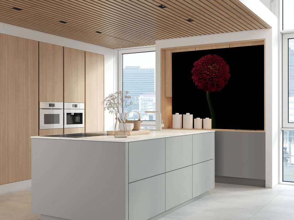 Fiore rosso su stelo