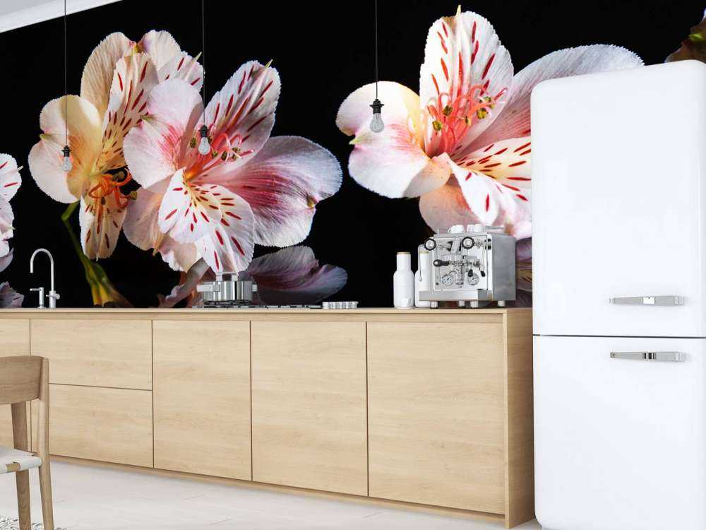 Alstroemeria fiori con riflessione
