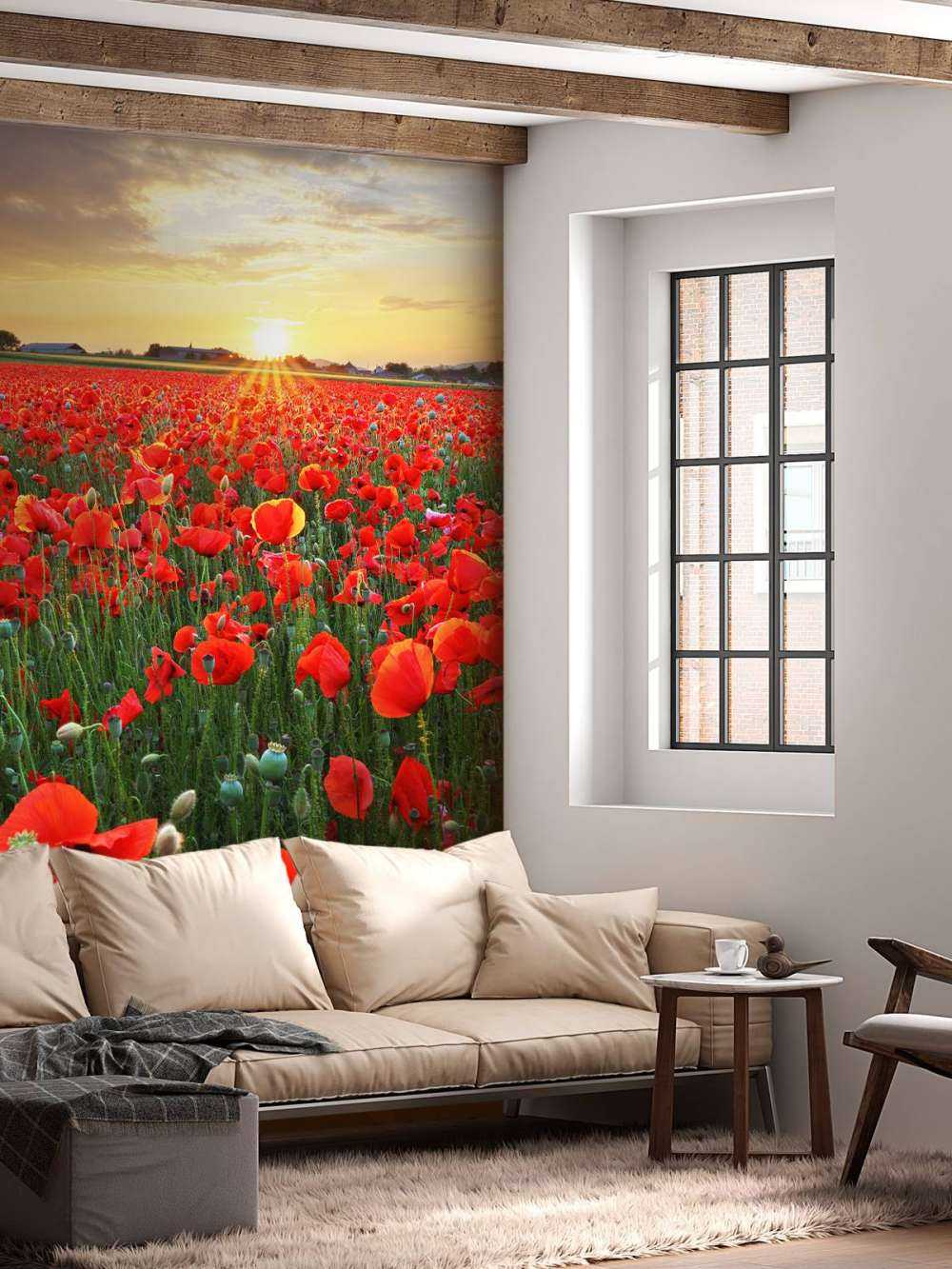 Papaveri al tramonto