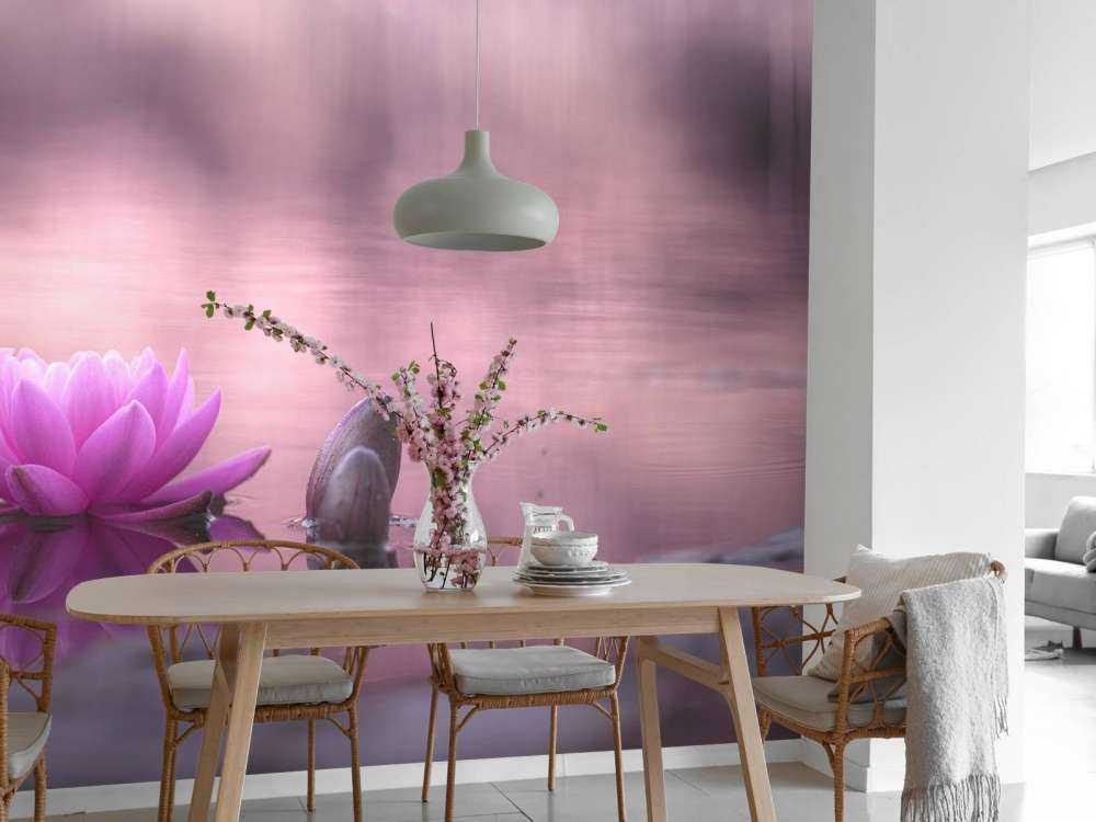 Fiore di loto in stagno