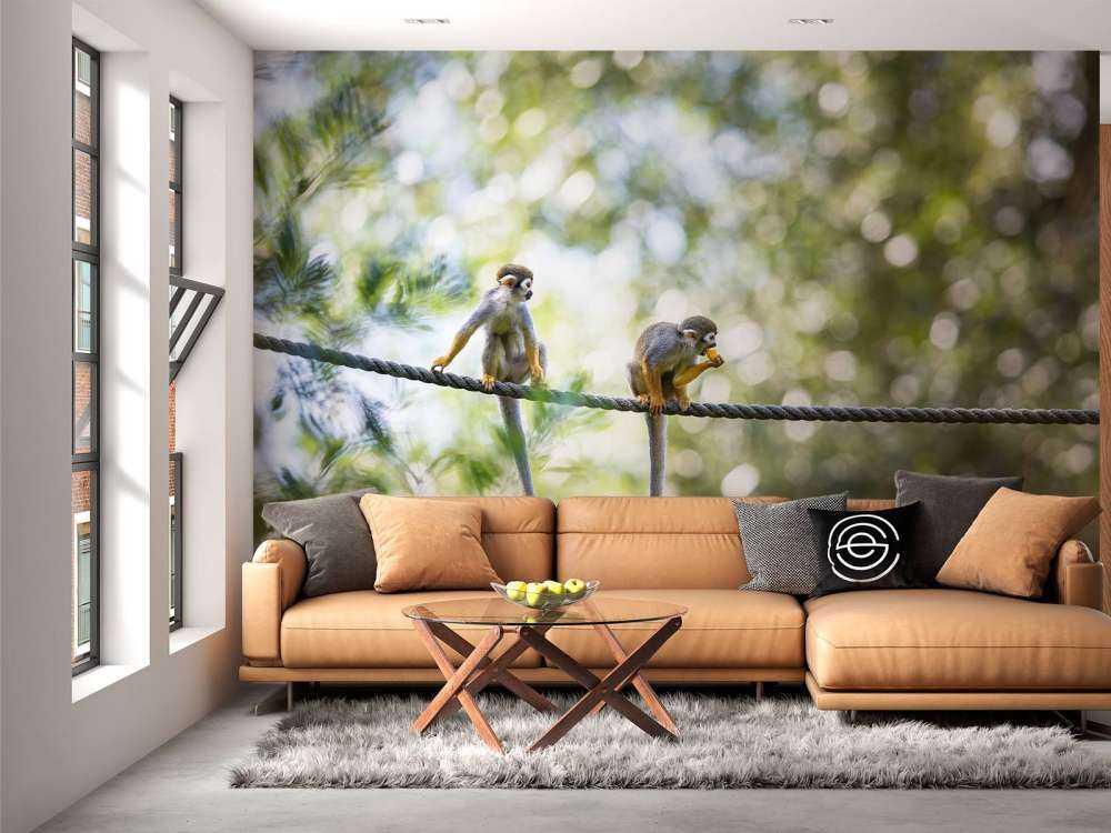 Scimmie scoiattolo su corda