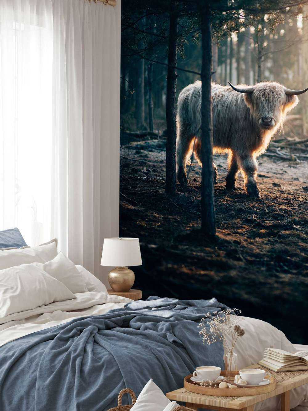 Highlander scozzese bianco