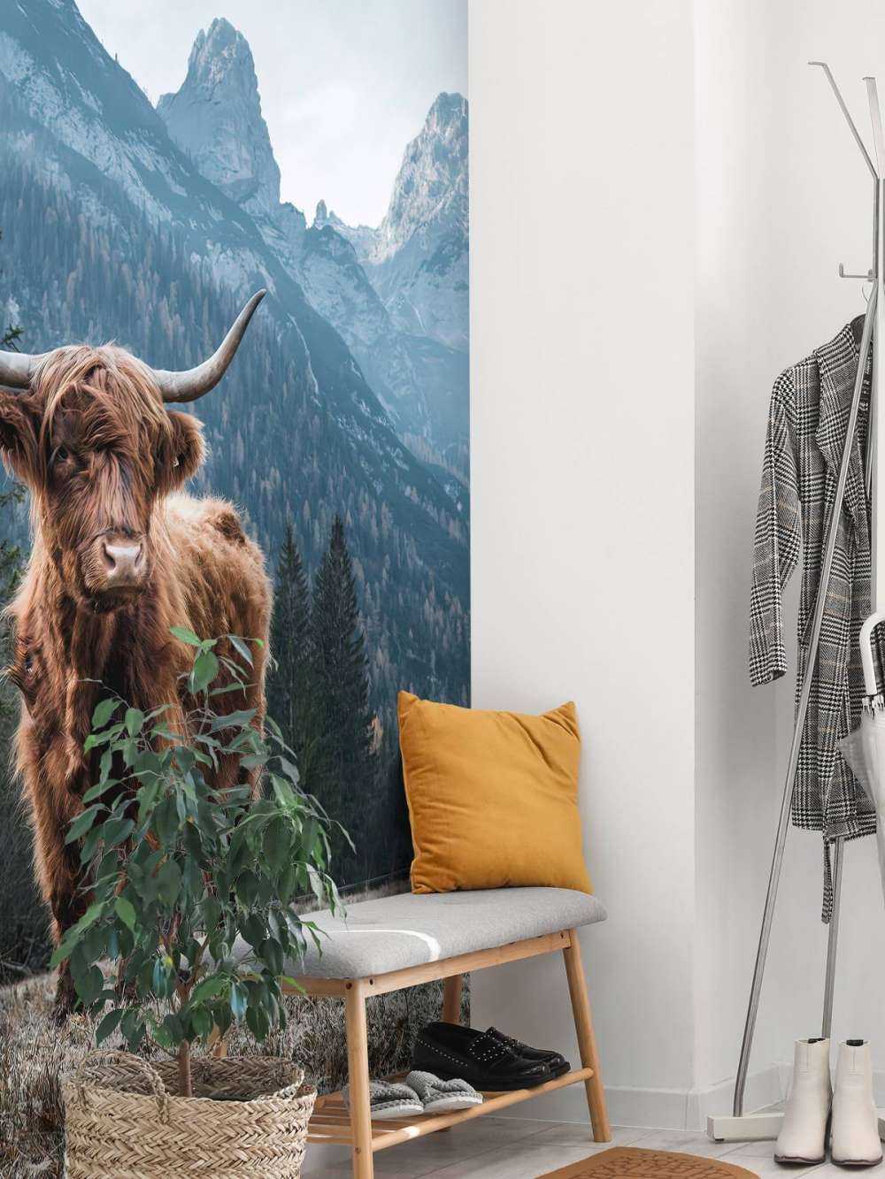 Highlander scozzese tra gli alberi