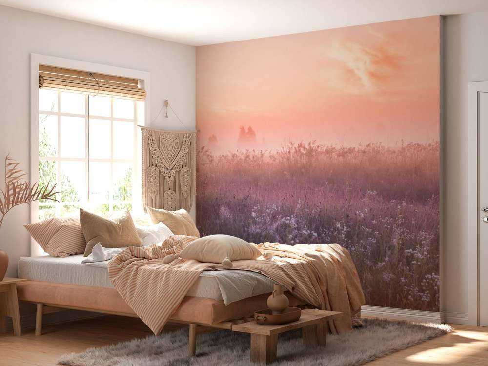 Campo con nebbia mattutina