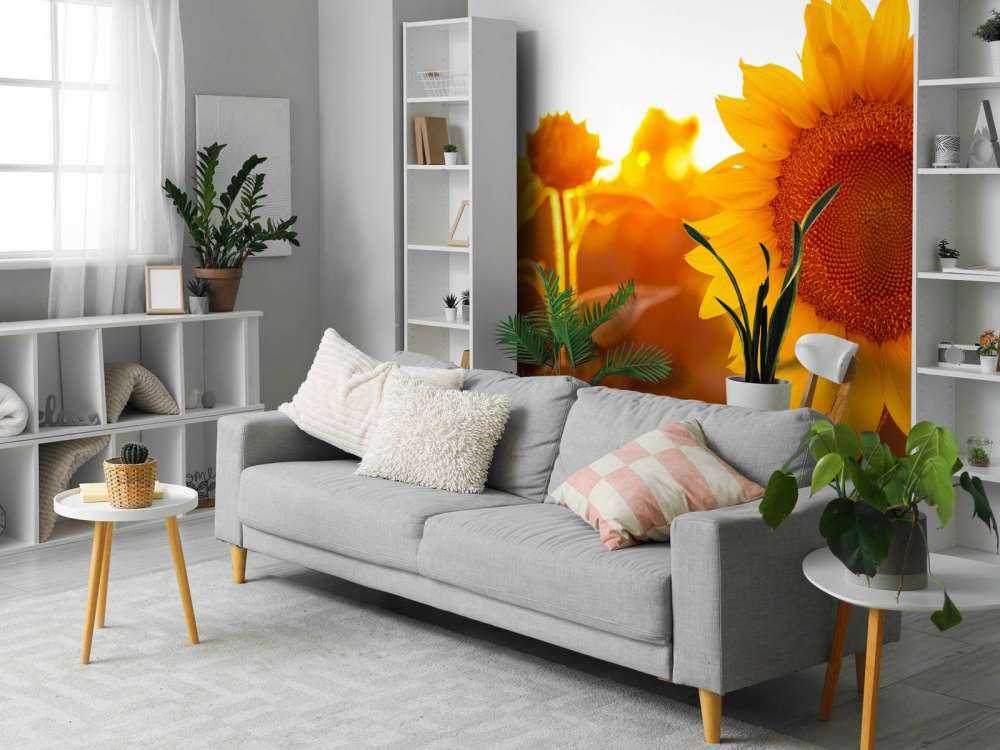 Campo di girasole caldo