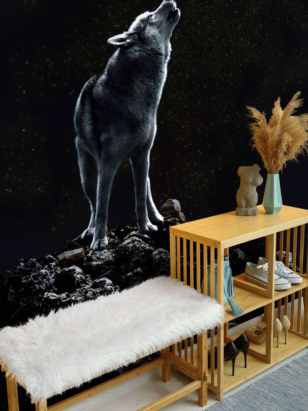 Chiamata della Luna Sentinella Solitaria