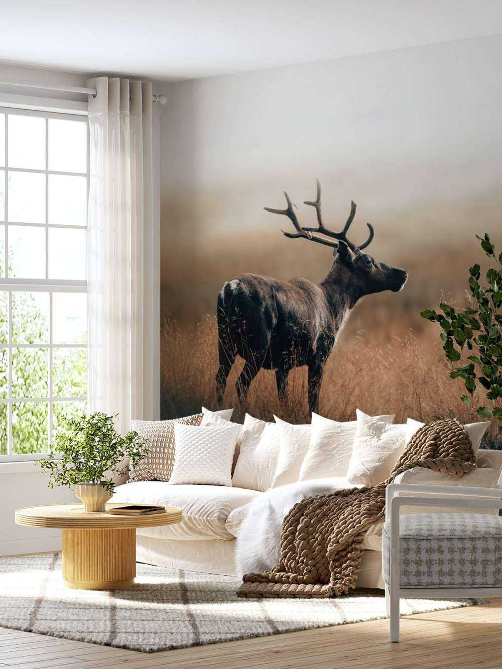 Renne nell'erba alta