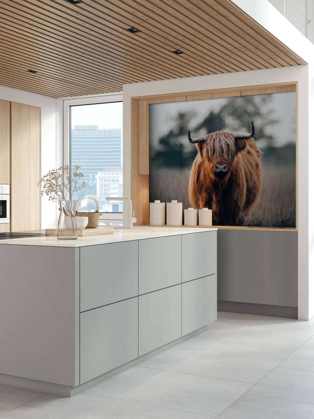 Ritratto di bovini delle Highlands