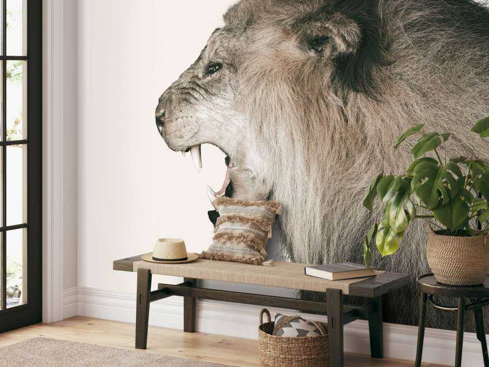 Leone ruggente bianco