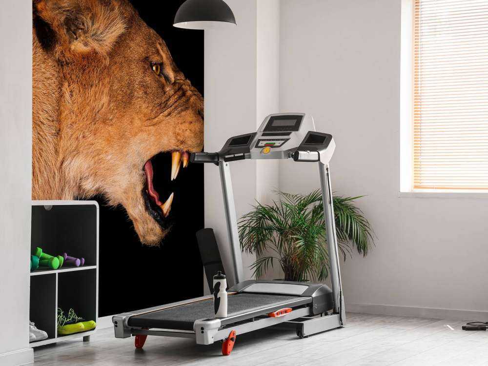 Vista laterale leonessa