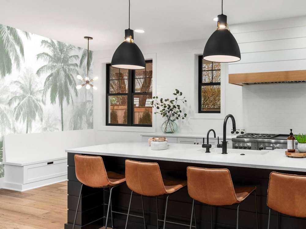 Foresta di Palme Nebbiosa, verde