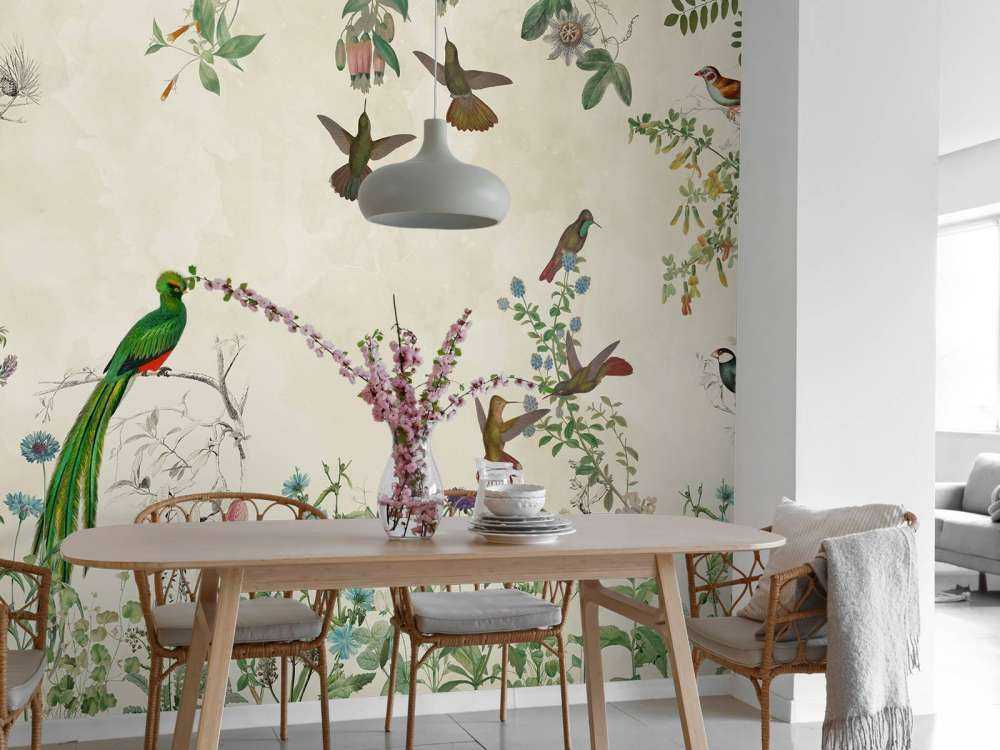 Campi di Uccelli Colorati