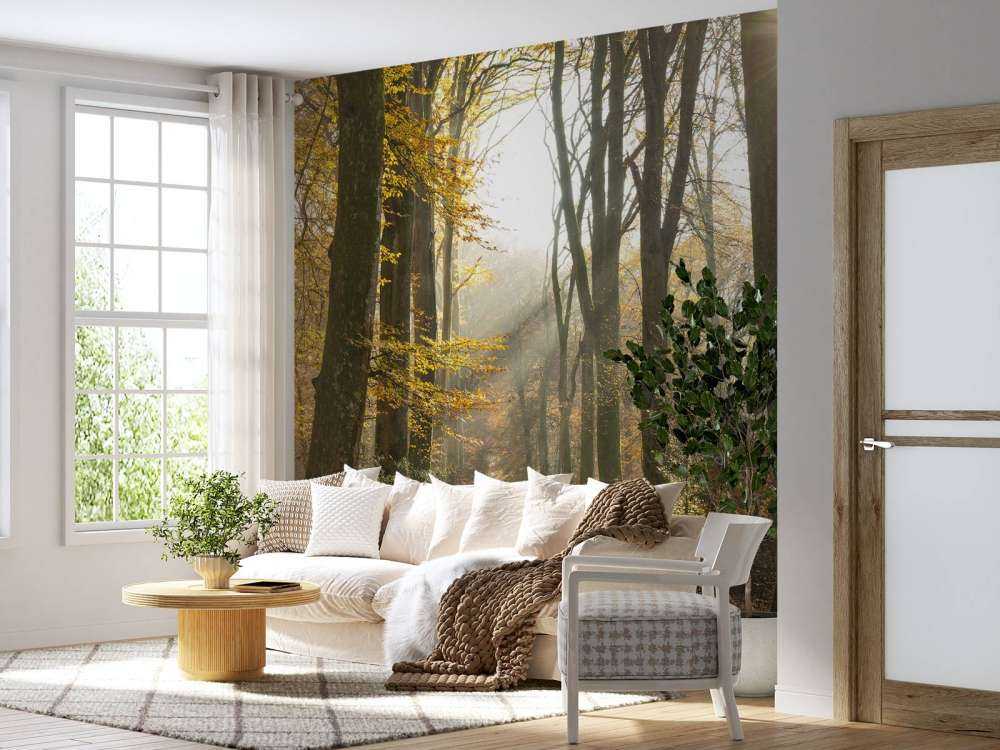 La foresta di Crécy