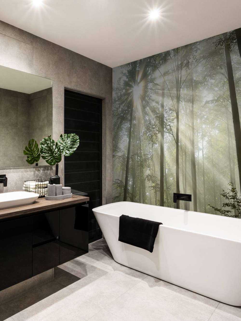 Foresta con la nebbia