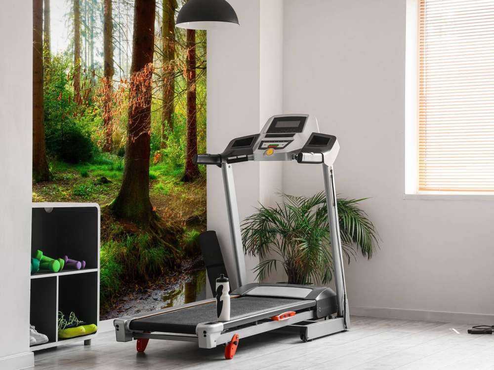 Foresta autunnale con luce solare brillante