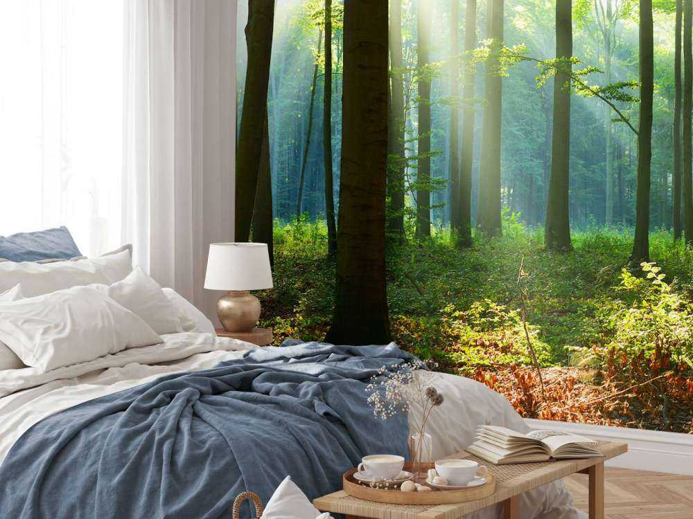 Mattina nella foresta