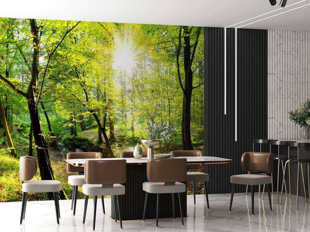 Foresta con un ruscello