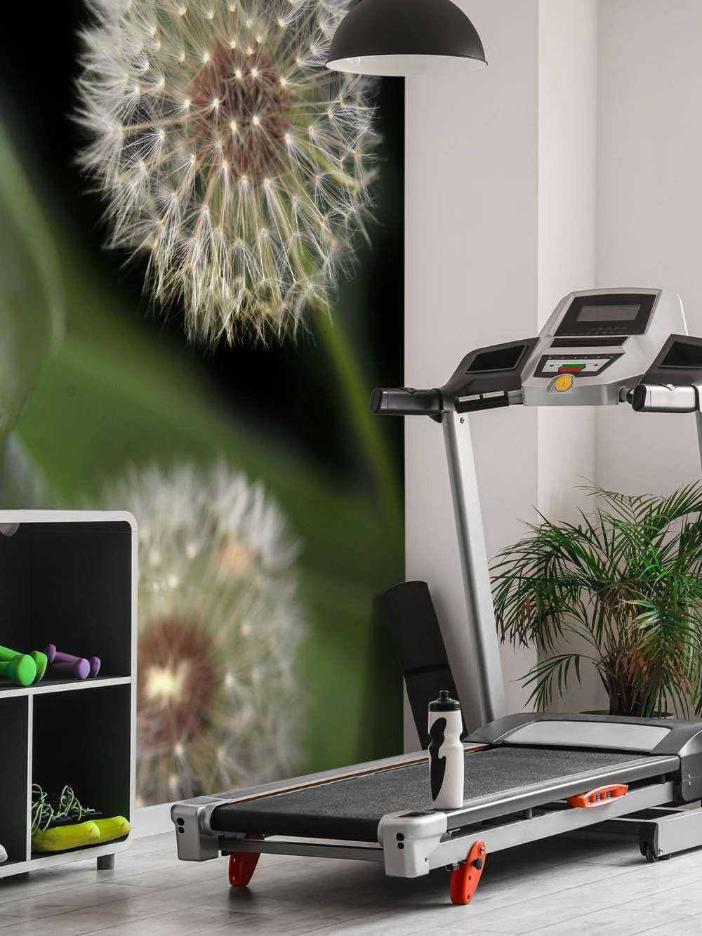 Denti di leone ravvicinati