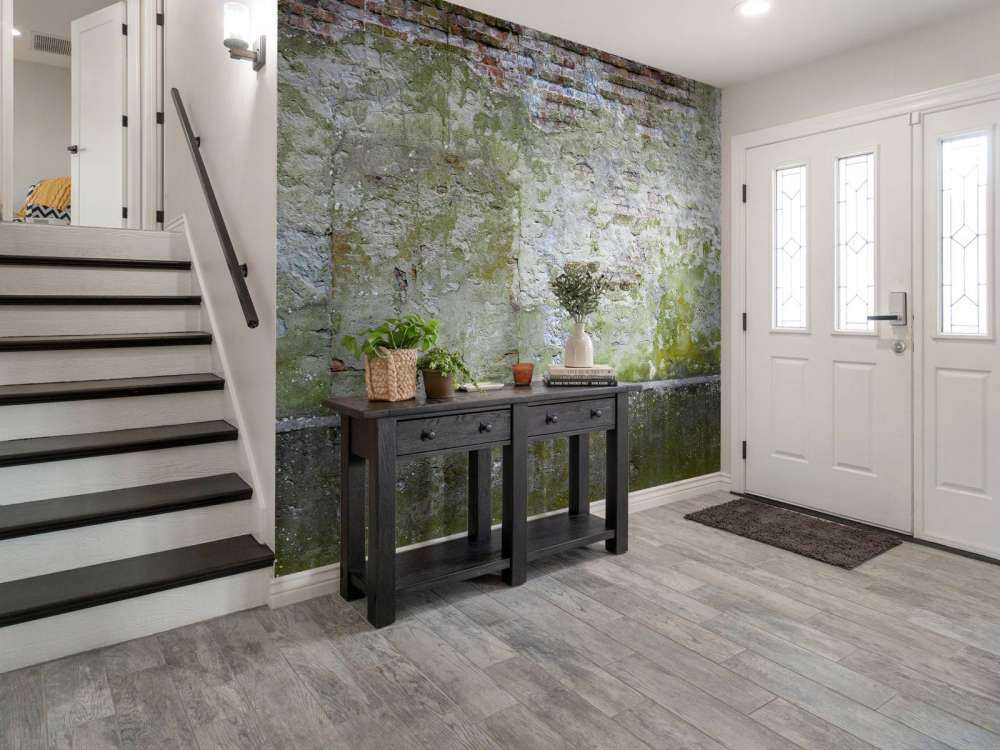 Muschio su un vecchio muro