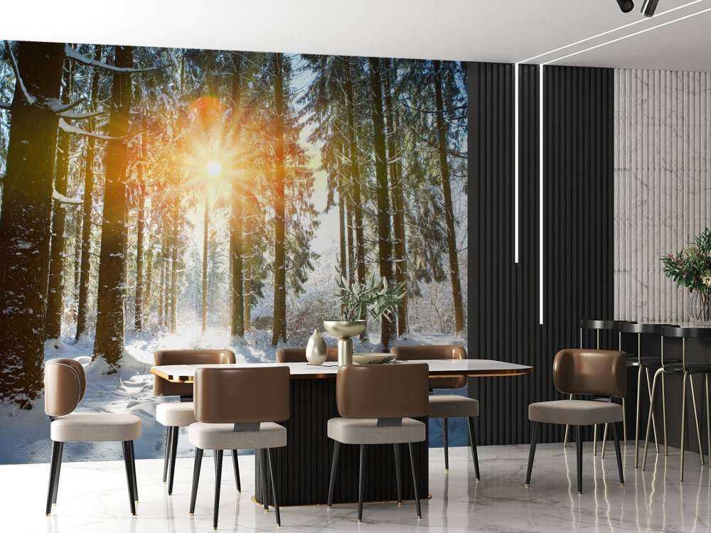 Luce del sole nella foresta d'inverno