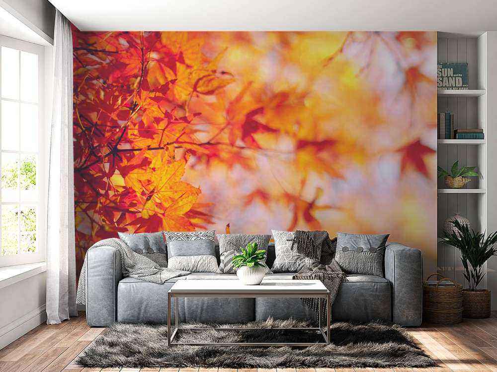 Foglie d'autunno