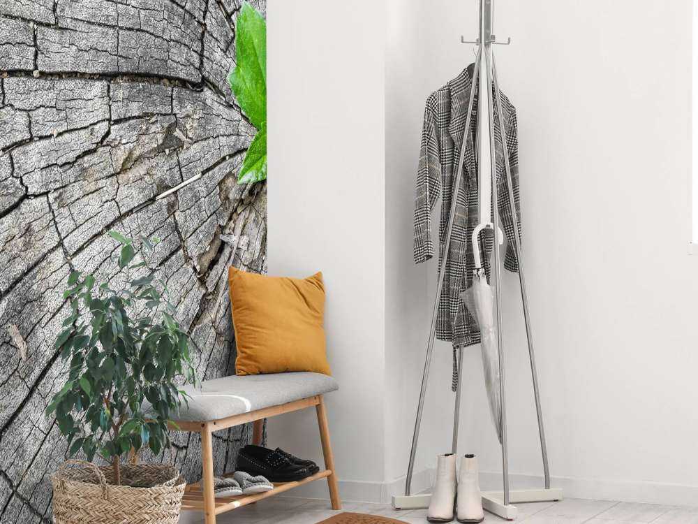 Diametro di un tronco d'albero 