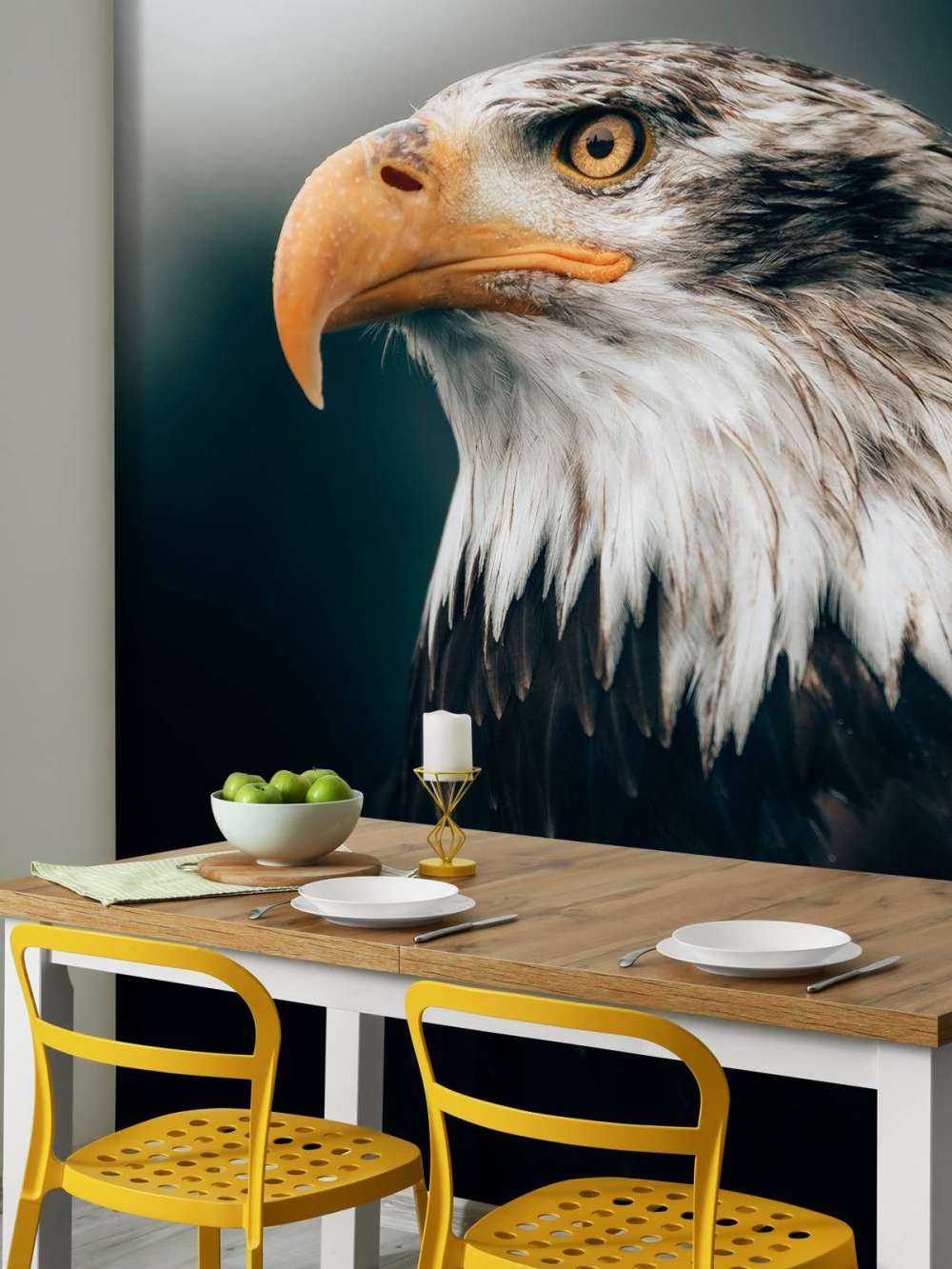 Aquila di mare primo piano