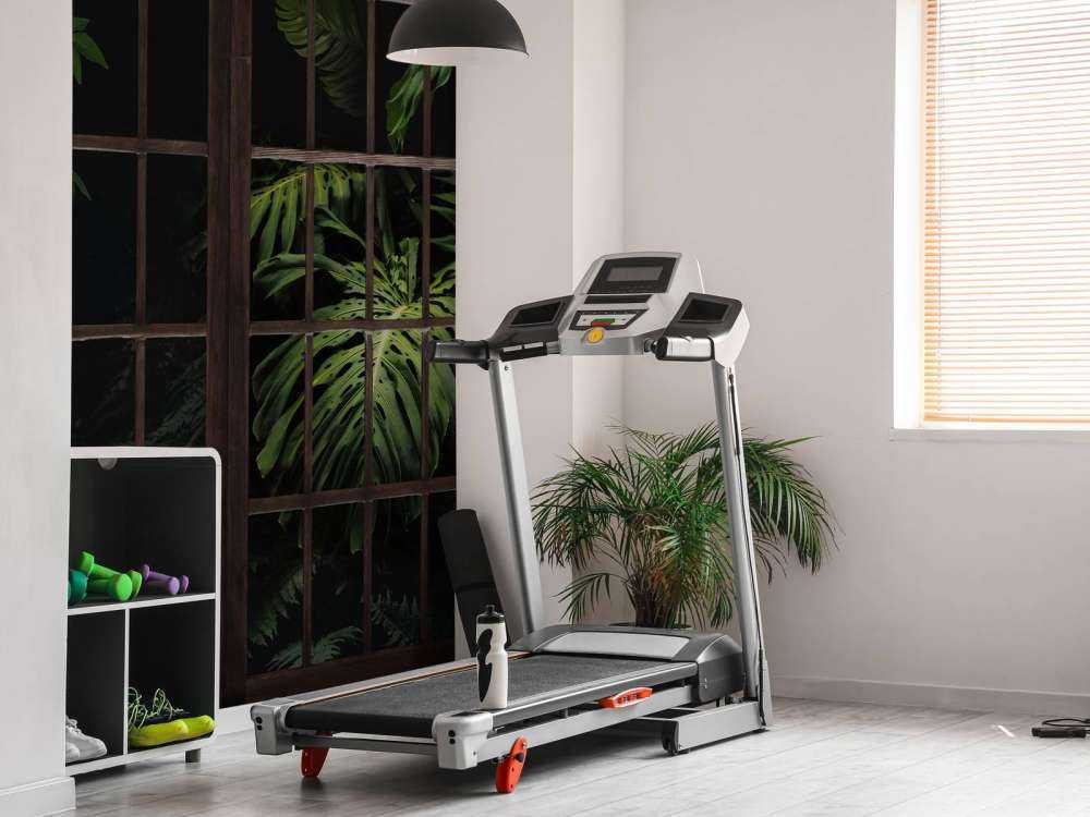 Piante botaniche dietro le finestre